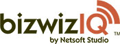 Netsoft logo